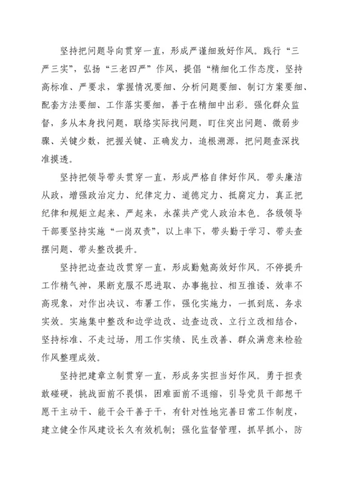 作风整顿实施专业方案.docx