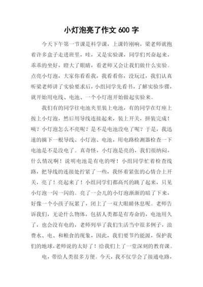 小灯泡亮了作文600字.docx