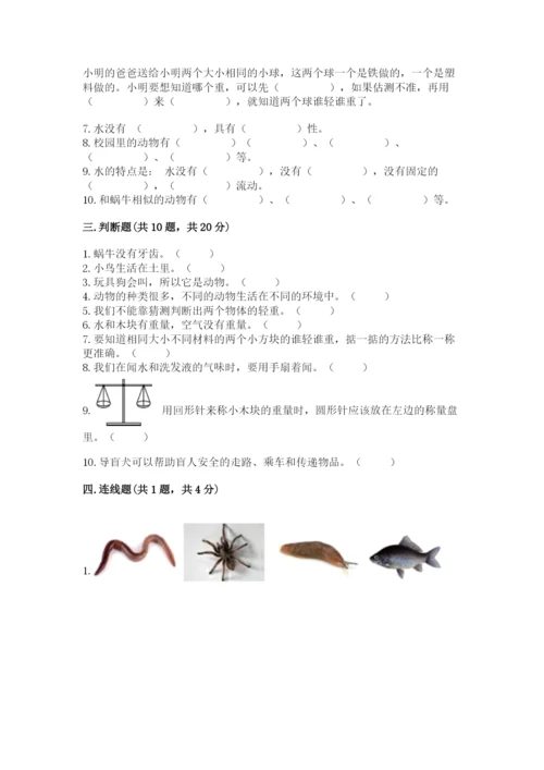 教科版一年级下册科学期末测试卷含完整答案【网校专用】.docx