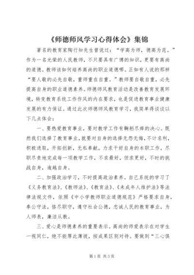 《师德师风学习心得体会》集锦.docx
