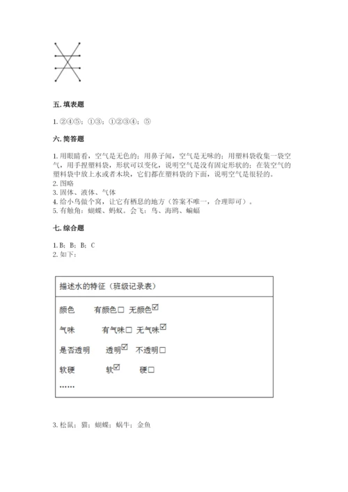 教科版一年级下册科学期末测试卷及参考答案（综合卷）.docx