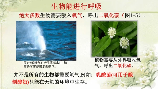 人教版（2024）七年级上册1.1.2 生物的特征 课件(共20张PPT)
