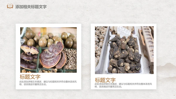 中医文化中草药养生古典传统中医学PPT
