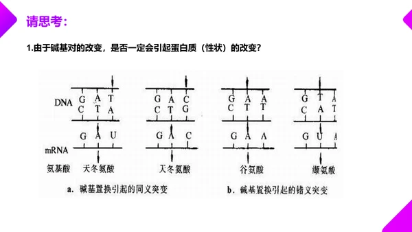 基因突变和基因重组初高中生物PPT课件