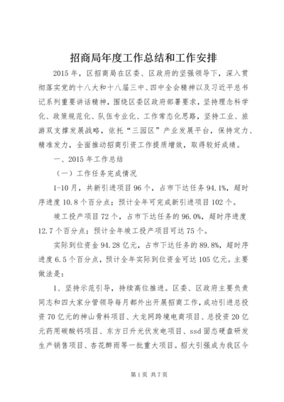 招商局年度工作总结和工作安排.docx