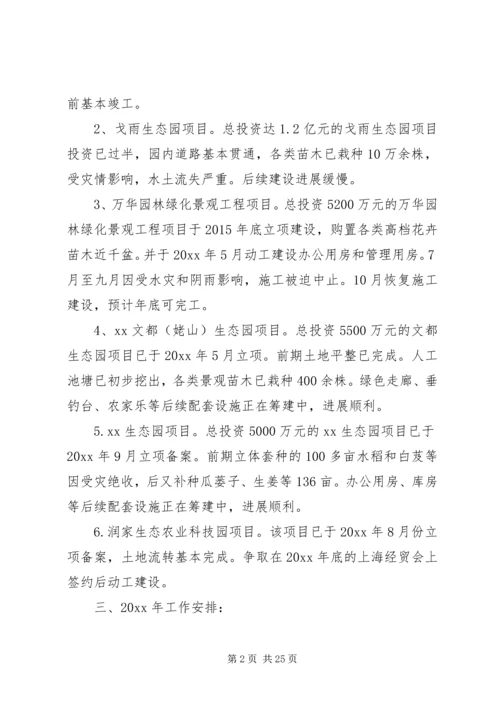 乡镇经发办工作总结及工作计划.docx