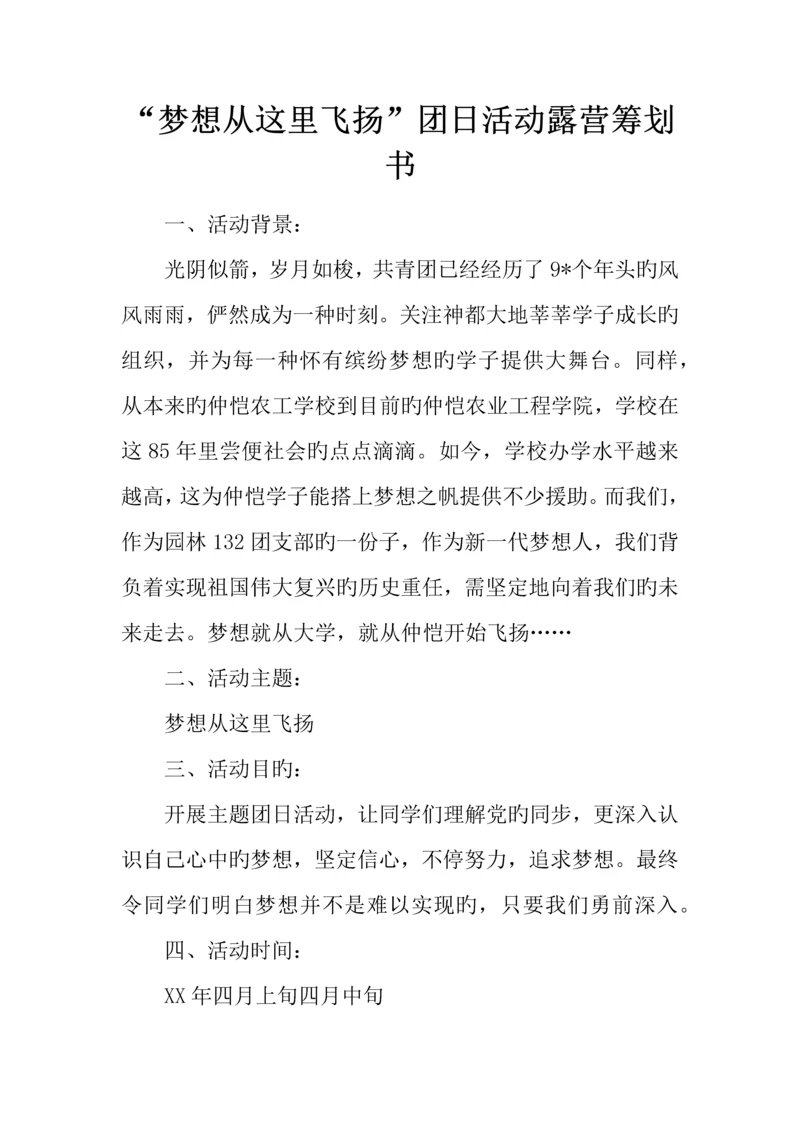 梦想从这里飞扬团日活动露营策划书.docx