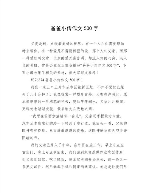 爸爸小传作文500字