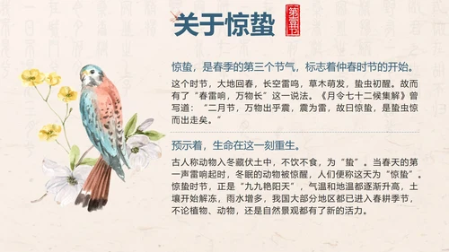 黄色中国风花鸟二十四节气之惊蛰带内容PPT模板