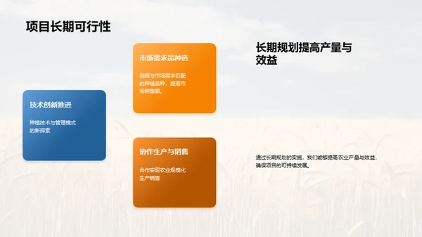 农业项目投资策略
