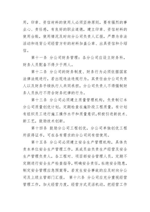 分公司内部管理办法_1.docx