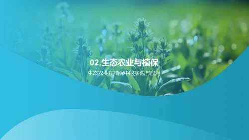 植保新纪元