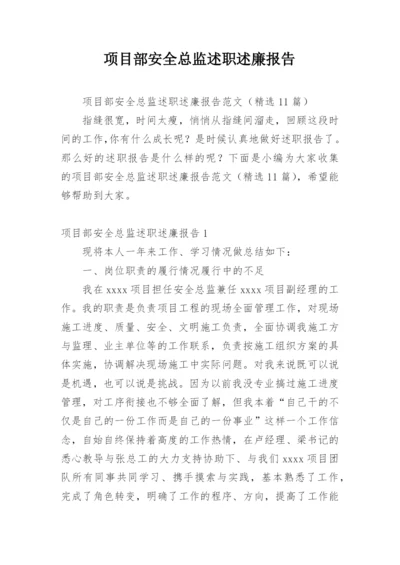 项目部安全总监述职述廉报告_1.docx