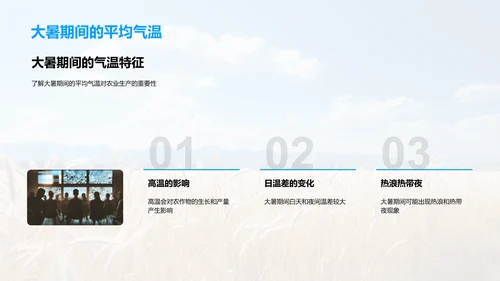 大暑农业生产