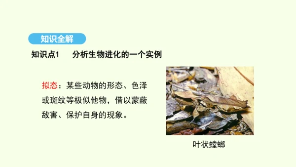 7.3.3生物进化的原因课件-人教版生物八年级下册(共37张PPT)