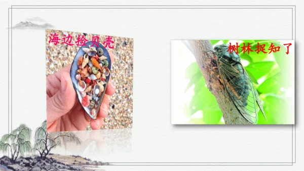 部编版三年级上册语文 口语交际：我的暑假生活 课件