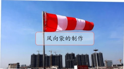 统编版语文五年级上册第五单元 习作例文《鲸》《风向袋的制作》 课件