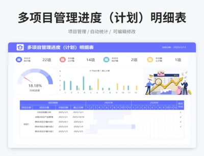 多项目管理进度（计划）明细表
