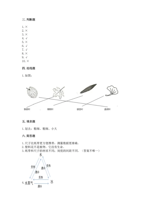 教科版一年级上册科学期末测试卷含完整答案【夺冠系列】.docx