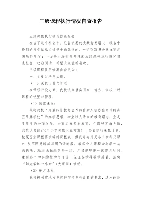 三级课程执行情况自查报告.docx