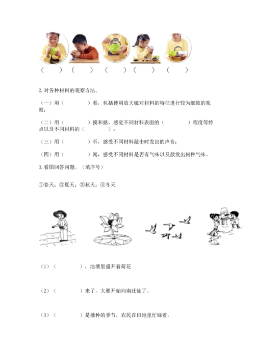 教科版科学二年级上册《期末测试卷》学生专用.docx