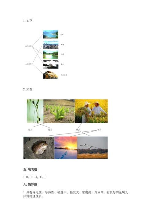 教科版二年级上册科学期末测试卷含完整答案（历年真题）.docx