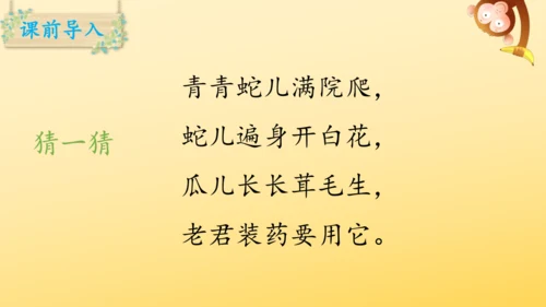14 我要的是葫芦   课件