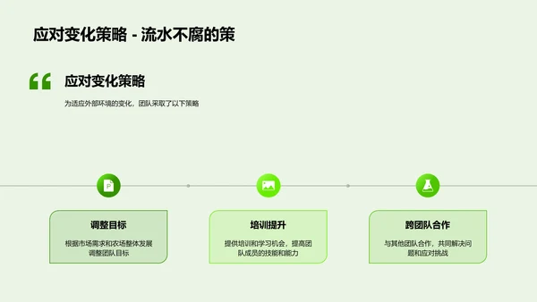优秀团队年度汇报
