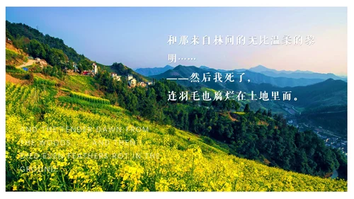 艾青文学我爱这土地通用PPT课件