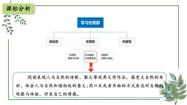 部编版语文五上第一单元 大单元教学设计--与自然对话，记录镜头下的心爱之物 说课课件