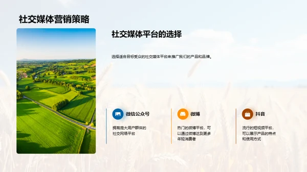 农业市场创新策略