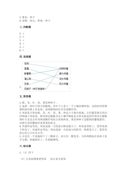 科学四年级下册第一单元植物的生长变化测试卷带答案（考试直接用）.docx