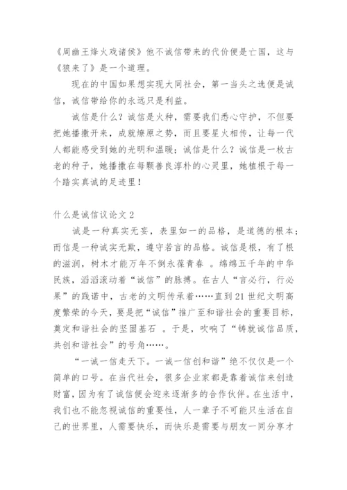 什么是诚信议论文.docx