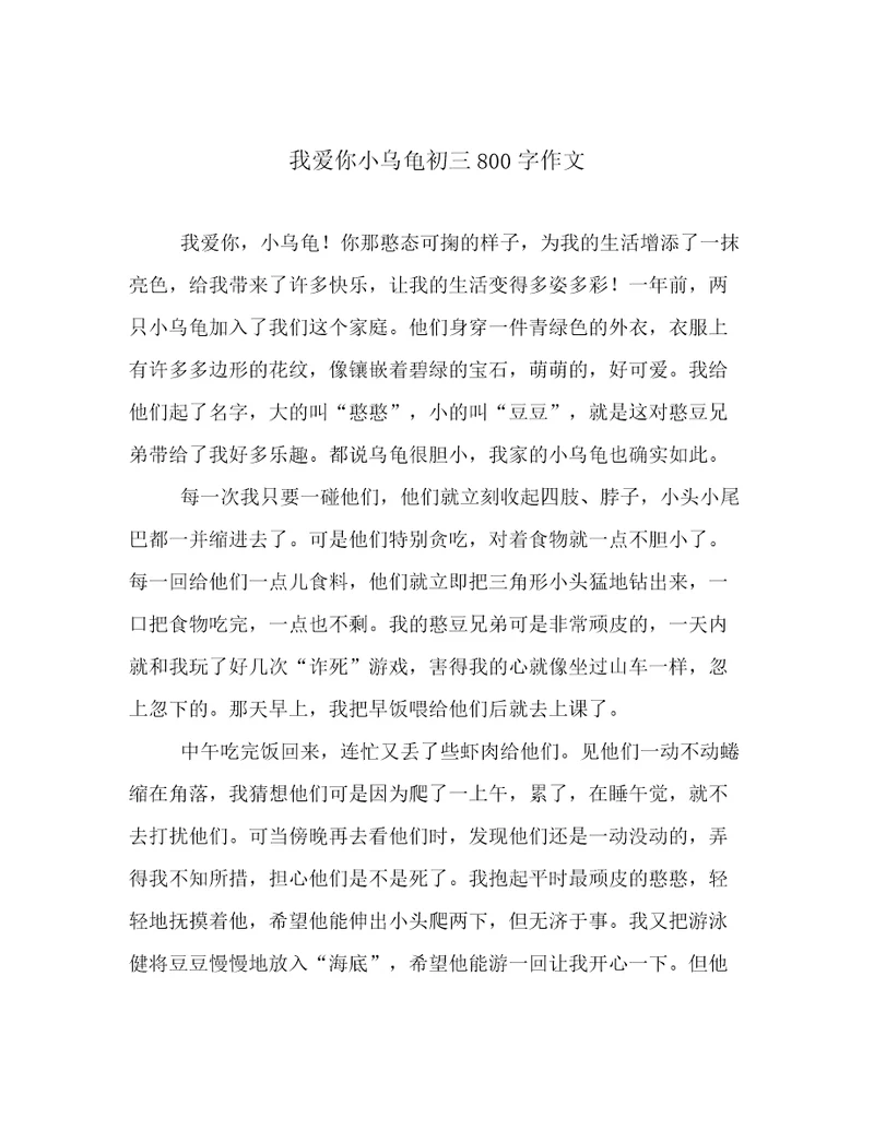 我爱你小乌龟初三800字作文