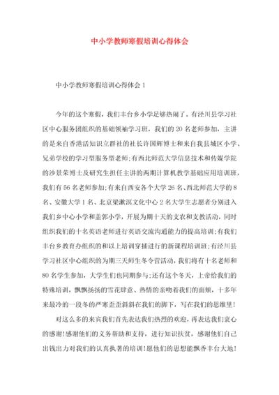 中小学教师寒假培训心得体会.docx