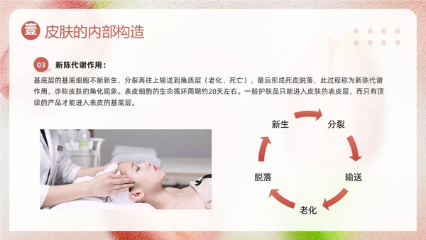 粉色简约美容知识培训大全PPT模板宣传PPT动态PPT