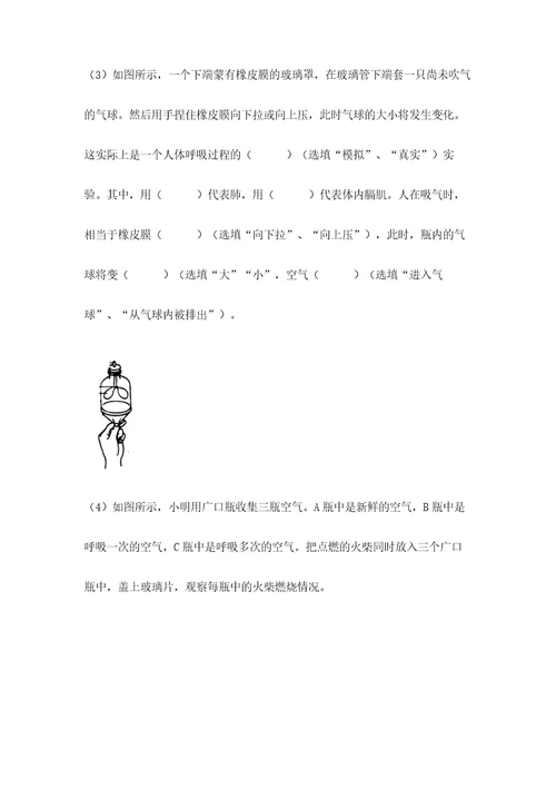 教科版小学四年级上册科学期末测试卷带答案（满分必刷）