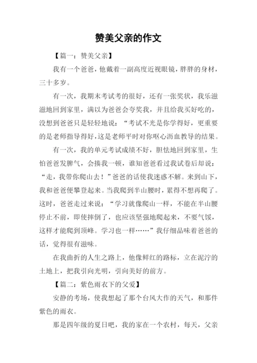 赞美父亲的作文.docx