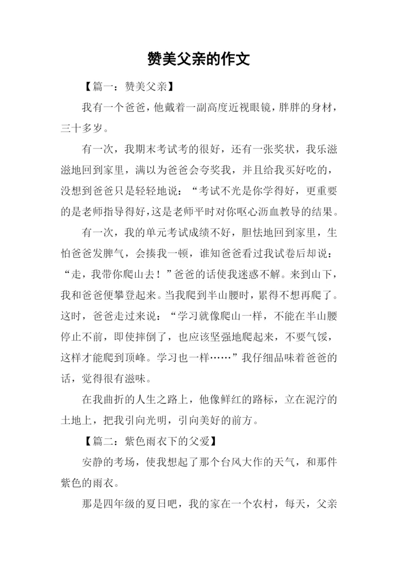 赞美父亲的作文.docx