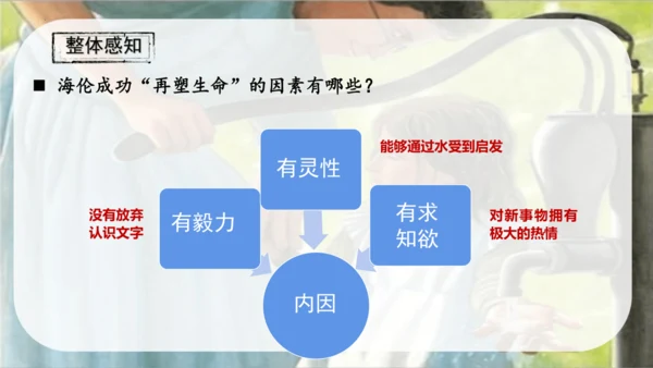 第11课《再塑生命的人》课件