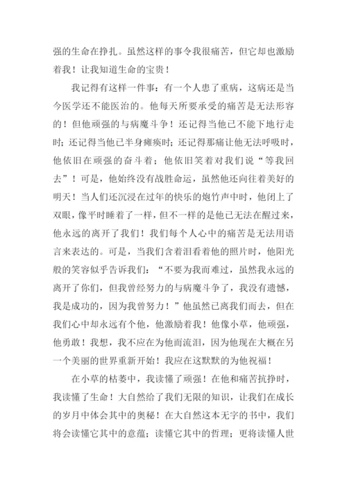 咏物抒怀的作文800字.docx