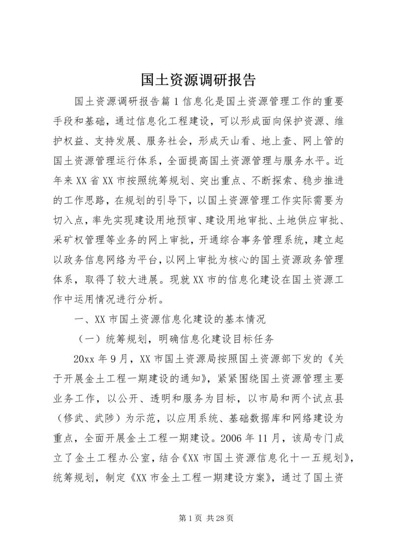 国土资源调研报告.docx