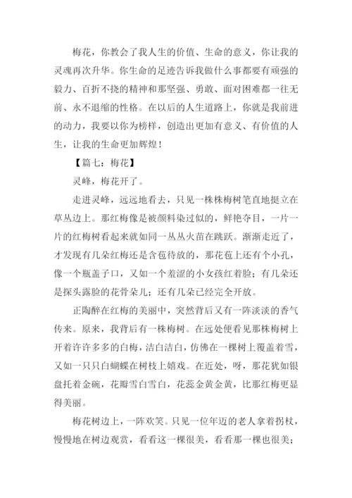 梅花的作文550字.docx