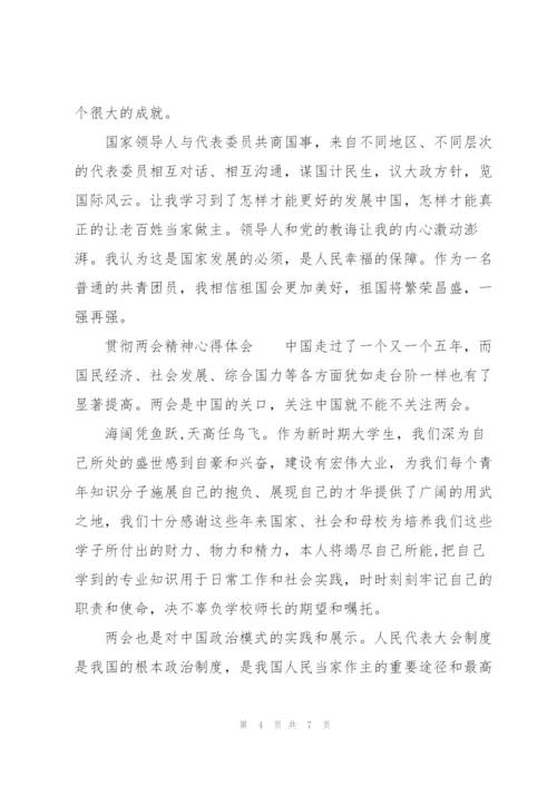 贯彻两会精神心得体会.docx