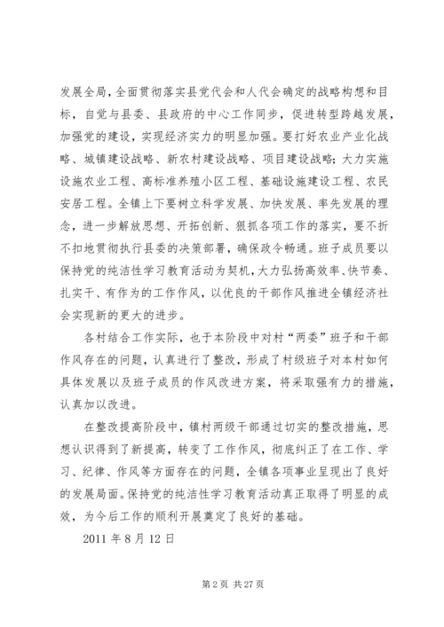 某某镇保持党的纯洁性学习教育活动.docx