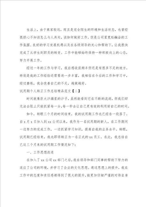 试用期个人转正工作总结精品范文