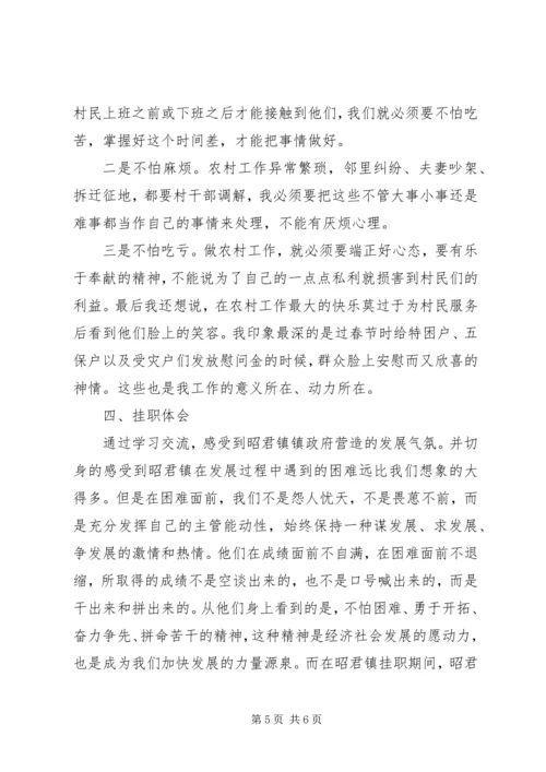 回乡挂职副村长报告 (3).docx