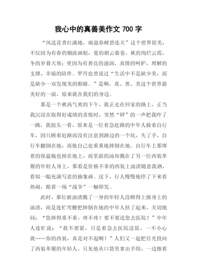 我心中的真善美作文700字.docx