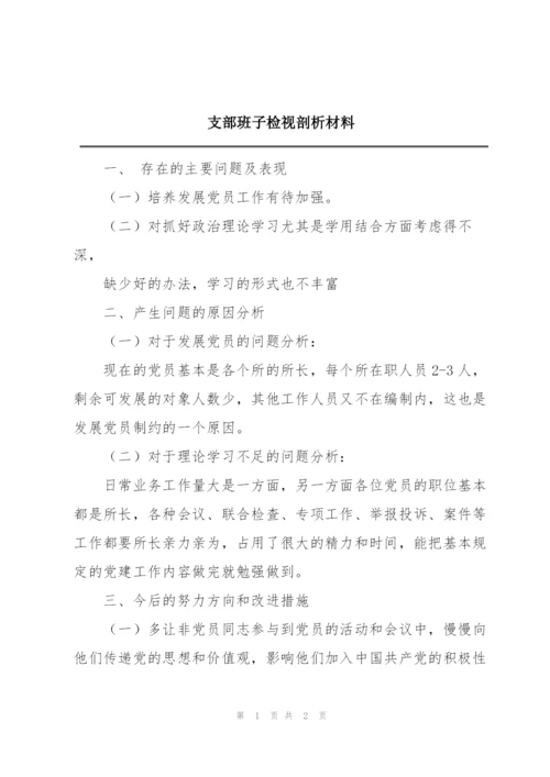 支部班子检视剖析材料.docx