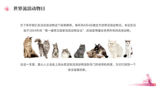 紫红色水彩简约关爱流浪动物宣传教育PPT课件